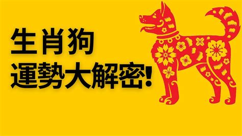 1982屬狗2023運勢顏色|属狗2023年运势及运程1982年出生幸运色 属狗2023年运势及运。